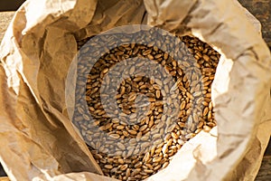 Wheat Grains in a Paper Bag