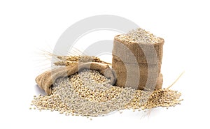 Wheat grains and ripe wheat ears isolated on white background - top view