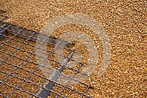 Wheat grains on the silo grid