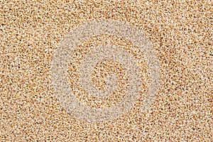 Wheat Grains Stack Closeup