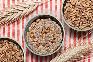 Wheat grains in three bowls