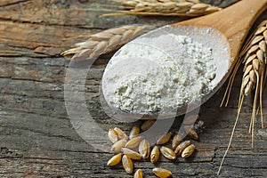 Wheat grains and wheat flour in wooden scoop or shovel with spikes or ears on rustic wooden background