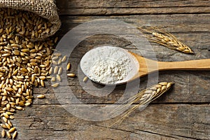 Wheat grains and wheat flour in wooden spoon with spikes or ears on rustic wooden background
