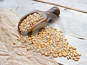 Wheat grains in wooden spoon