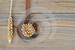 Wheat grains in wooden spoon