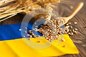 Wheat grains with yellow and blue Ukrainian flag on wooden background