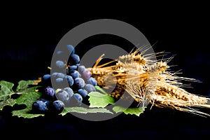 Wheat grapes bread and crown of thorns on black background as a symbol of Christianity