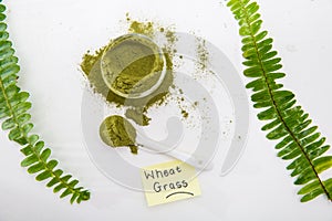 Wheat grass green powder is a healthy supplement to add vitamins and minerals to your diet.