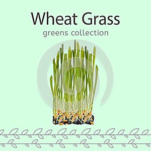 Wheat Grass Image