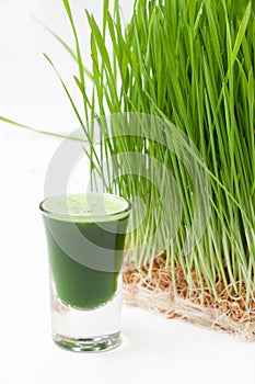 Wheat grass juice