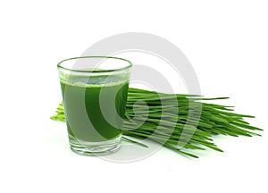 Wheat grass juice in small shot