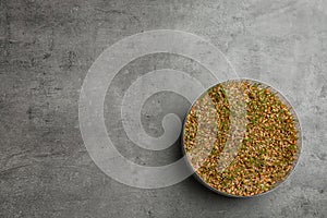 Wheat grass in sprouter on color background, space for text