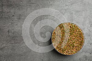 Wheat grass in sprouter on color background, space for text photo