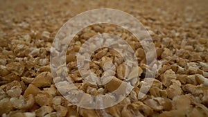 Wheat grit close-up. Wheat porridge moving slowly over them in close up view