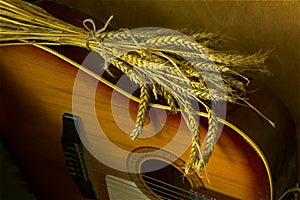 Wheat and guitar