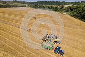 Wheat harvest is busy time for farmers as they employ combines to gather crops.