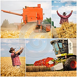 Wheat harvest - collage