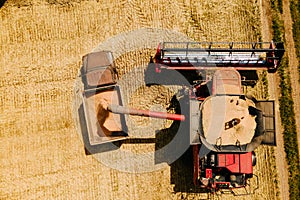 Wheat harvest concept. aerial view Combine loading wheat grain in truck trailer