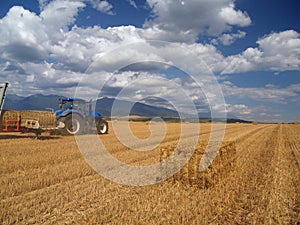 Wheat harvest on Liptov, Slovakia photo