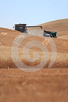 Wheat harvest in Palouse, Washington