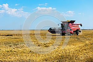 Wheat harvesting