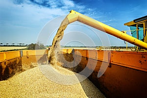 Wheat harvesting combine photo