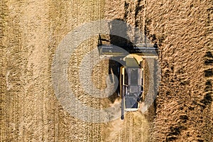 Wheat harvesting