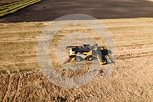 Wheat harvesting