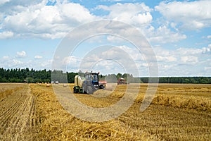 Wheat harvesting by farmers using tractors and combines