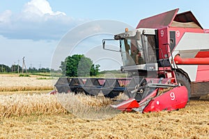 Wheat harvesting on field in summer season. Combine harvester harvests ripe wheat. agriculture.  Process of gathering crop by