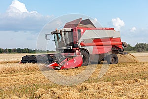 Wheat harvesting on field in summer season. Combine harvester harvests ripe wheat. agriculture.  Process of gathering crop by