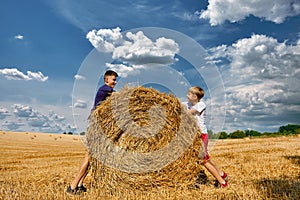 Wheat hay on an agricultural field. Friends having