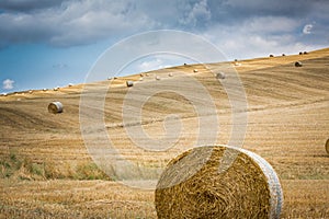 Wheat hay bales rest on hillsides in Tuscany photo