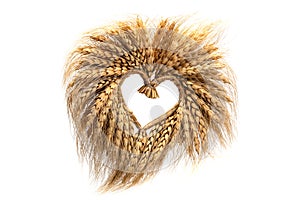 Wheat Heart. Heart shape made of golden wheat stems isolated on white