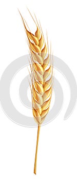 Wheat icon