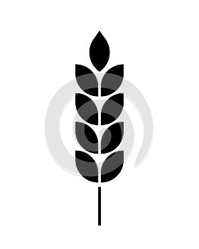 Wheat icon. Black silhouette wheats isolated on white background. Malt beer. Wheat ear. Barley or corn for flour print design