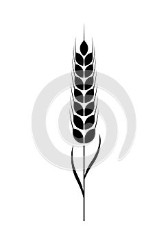 Wheat icon. Black silhouette wheats isolated on white background. Malt beer. Wheat ear. Barley or corn flour print design. Millets