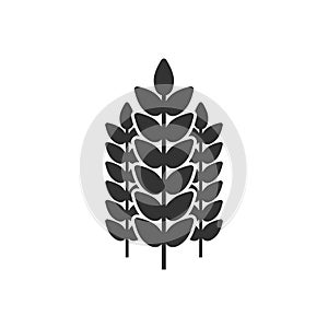 Wheat icon in flat style. Barley vector illustration on white isolated background. Harvest stem business concept