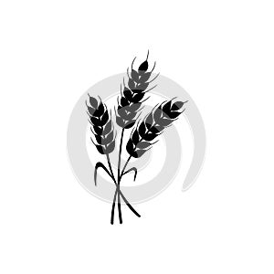 Wheat icon vector. Cereals illustration sign. Harvest symbol. Farm logo.