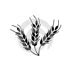 Wheat icon vector. Cereals illustration sign. Harvest symbol. Farm logo.