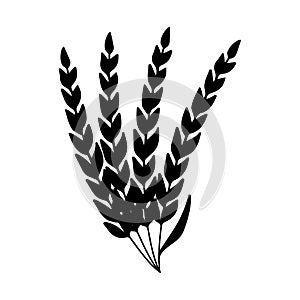 Wheat icon vector. Cereals illustration sign. Harvest symbol. Farm logo.