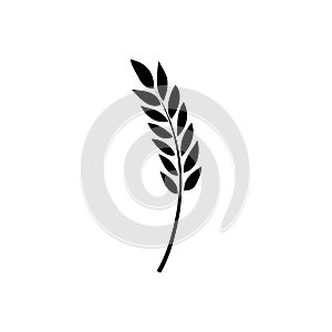 Wheat icon vector. Cereals illustration sign. Harvest symbol. Farm logo.