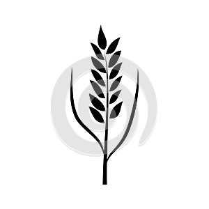 Wheat icon vector. Cereals illustration sign. Harvest symbol. Farm logo.