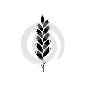 Wheat icon vector. Cereals illustration sign. Harvest symbol. Farm logo.