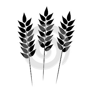 Wheat icon. Vector illustration