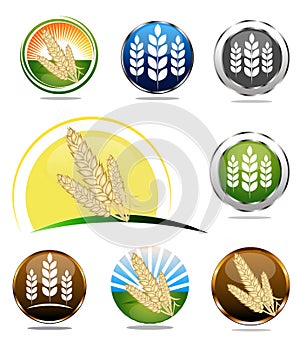 Wheat icons