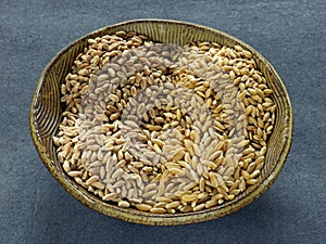 Wheat,kamut and spelt