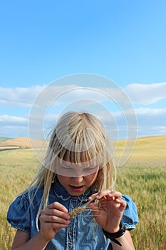 Wheat Kernel Girl