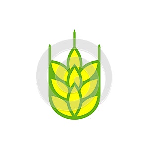 Wheat logo design. Yellow and green colors. Vector illustration on white background.