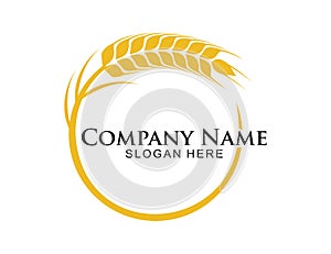 wheat nettle grain in circle shape vector logo design